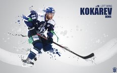 Денис Кокарев